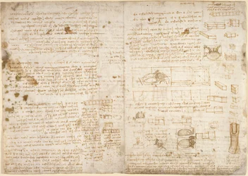 Arundel 263, f.223 Jegyzetek, diagramok és vázlatok a Codex Arundel-ből (toll és tinta papíron)