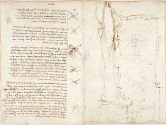 Arundel 263, f.276v, f.273r, Jegyzetek és vázlatok a szélről, „del vento”