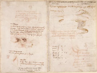 Arundel 263, f.278v, f.271 Jegyzetek az álmok valóságérzékéről, a vízről, valamint a szita és az Arno folyóról (fejjel lefelé), a Codex Arundel-ből (toll és tinta papíron)