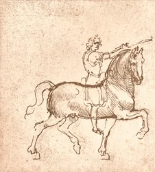 Sétáló ló rajza, c1472-c1519 1883