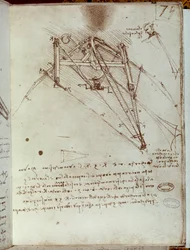 Repülő gép rajza. Leonardo da Vinci kézirata
