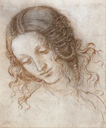 Léda feje