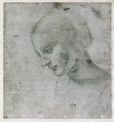 Egy fiatal nő feje vagy a Szűz feje, 1490 körül (ezüstpont papíron)