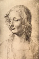 Egy fiatal nő feje, Leonardo da Vinci rajza, Rajzok és Nyomtatványok kabinetje, Uffizi, Firenze