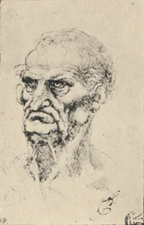 Egy öregember feje háromnegyed balra, c1480 1945