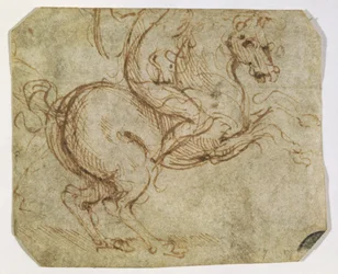 Ló és Cavalier (toll és tinta papíron)