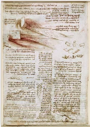 Leonardo da Vinci - RCIN 912660, Víztanulmányok 1510-1512 körül, 745082-1634741785