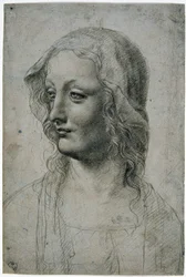 Maestro della Pala Sforzesca (Leonardo da Vinci milánói tanítványa), női fej fátyollal, talán egy tanulmány a Szűznek, GDSU 426 E