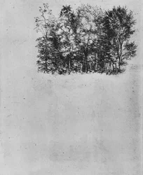 Study of a Coppice, c1480, 1945