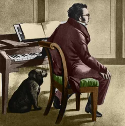 Franz Schubert osztrák zeneszerző portréja