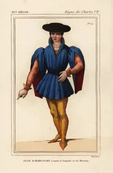 Jean VIII of Harcourt, francia lovag, Aumale és Mortain grófja