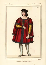 VIII. Károly francia király, a nyájas