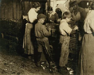 A 10 éves Jimmie, aki már 3 éve hántol (6 fazék naponta) egy 11 éves fiúval, aki 7 fazekat hántol a Varn und Platt konzervgyárban, Bluffton, Dél-Karolina, 1913.