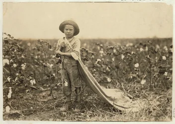 A 6 éves Warren Frakes kb. 20 font gyapottal a zsákjában Comanche megyében, Oklahoma, 1916