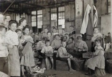 Baltimore, Maryland, 1909. július