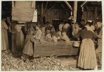 Bill May, 5 éves, aki napi 15 centet keres, a Barataria Canning Company fészerében, Biloxiban, Mississippi államban, 1911