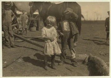 4 éves gyapotszedő, aki rendszeresen szed 15 fontot naponta, és 7 éves, aki 50 fontot szed le. Farmról farmra költöznek, és emigráns kocsikban élnek, McKinney, Texas, 1913