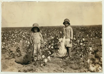 Jewel és Harold Walker, 6 és 5 évesek, napi 20-25 kiló gyapotot szednek Geronimo-ban, Comanche megyében Oklahoma, 1916
