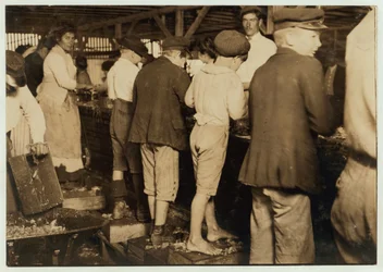 Garnélarákszedők, köztük a 8 éves Max, Dunbar, Lopez, Dukate Co, Biloxi, Mississippi, 1911