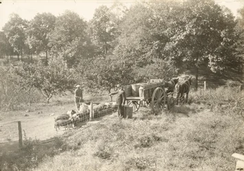 Cím nélkül, kb. 1935.