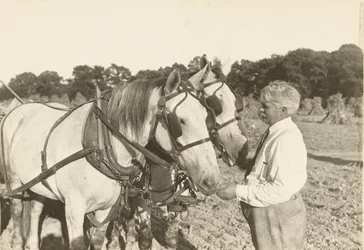 Cím nélkül, kb. 1935.