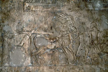 Baster dombormű kocsival, Tell el-Amarna nekropolisza, Egyiptom, egyiptomi civilizáció, Újbirodalom, XVIII. dinasztia