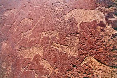 Namíbia, Damaraland vadon, Twyfelfontein, Brandberg-hegység, kőkorszaki sziklametszet