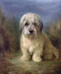Dandie Dinmont terrier (olaj, vászon)