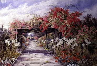 Rambler Roses