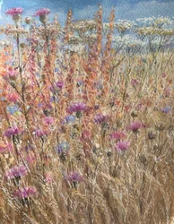 Scabious és Docks