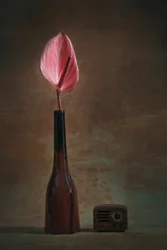 Elegáns anthurium és rádió