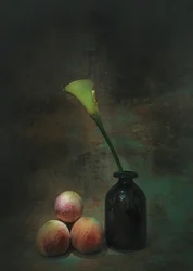 Moody Calla liliom csendélet