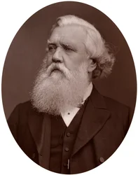 Jobb Hon Austen Henry Layard DCL, brit konstantinápolyi nagykövet, 1877.