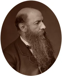 Sir Wilfrid Lawson politikus, Carlisle képviselője, 1882.
