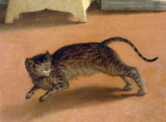 Rémült macska, részlet a Recanati Angyali üdvözletből, 1534 körül, Lorenzo Lotto (1480-1556), olaj, vászon