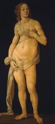 Vénusz