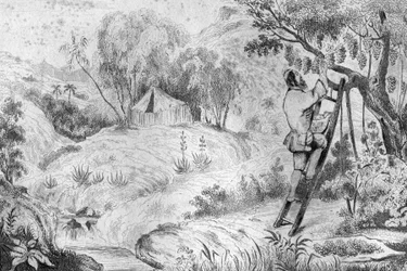 Több mint kétszáz fürtöm volt... metszet M. de Sainson rajza nyomán Daniel Defoe könyvéhez (De foe) „Robinson Crusoe”” 1837-es francia kiadás.