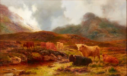 Lápvidék Clachaignál, Glencoe