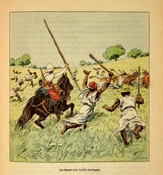 A madagaszkári háború – Az 1885-1895-ös francia expedíciók anekdotikus története, Henri Galli dit Galllichet (1854-1922), illusztrálta Louis Bombled (1862-1927): Vadökrök vadászata Madagaszkáron 1895-ben, Magángyűjtemény