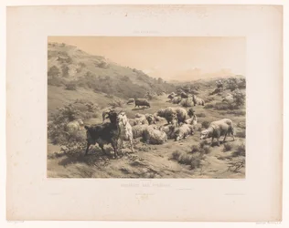 Pásztorlány kecskékkel és juhokkal a Pireneusokban Bruyéres des Pyrénées (cím a tárgyon) Legelők (sorozat címe) Les paturages (sorozat címe az objektumon)