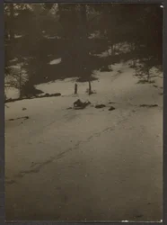 [Gyerek szánkózik lefelé a dombon]