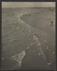 Newport Beach