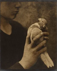 A fáradt hírnök