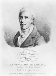 Jean-Baptiste de Monet (1744-1829) Chevalier de Lamarck portréja, a "Recueil de portraits des academiciens celebes"-ből, 19. század eleje