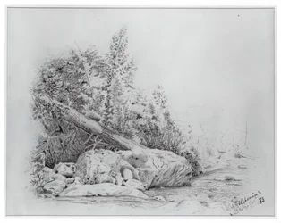 Kidőlt fa, Keene Valley, 1883. július 25.