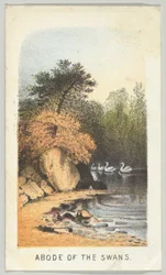 A hattyúk lakhelye a sorozatból, Views in Central Park, New York, 2. rész, 1864.