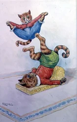 Cavorting macskák