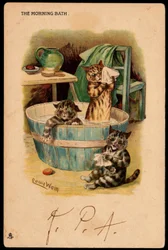 A reggeli fürdő. Állatok emberi testtartásban. A macskák egy medencében fürdik. Képeslap. Louis Wain (1860-1939) kromolitográfiája, egy angol művész, aki a nagy szemű macskák ábrázolásáról ismert. 20. század eleje. Gyűjt