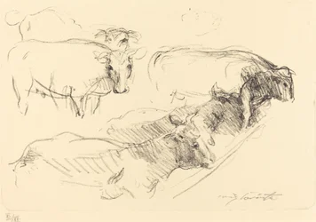 Tehenek Tehenek, 1910.