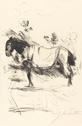 Reitpferd (lovagló)